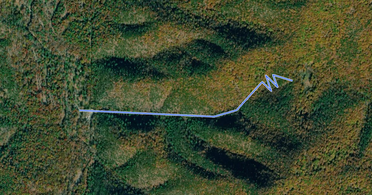 Маршрут Beard's Gap Trail на спутниковом снимке