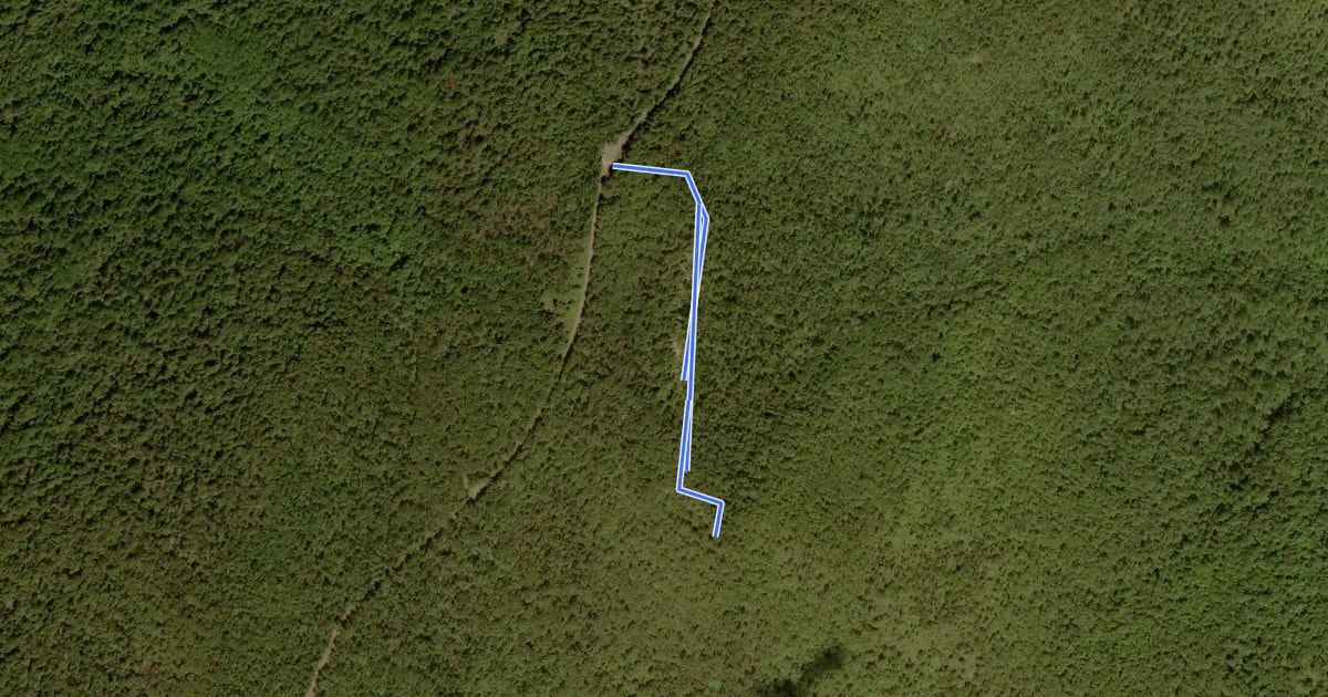 Маршрут Bearfence Mountain Trail на спутниковом снимке