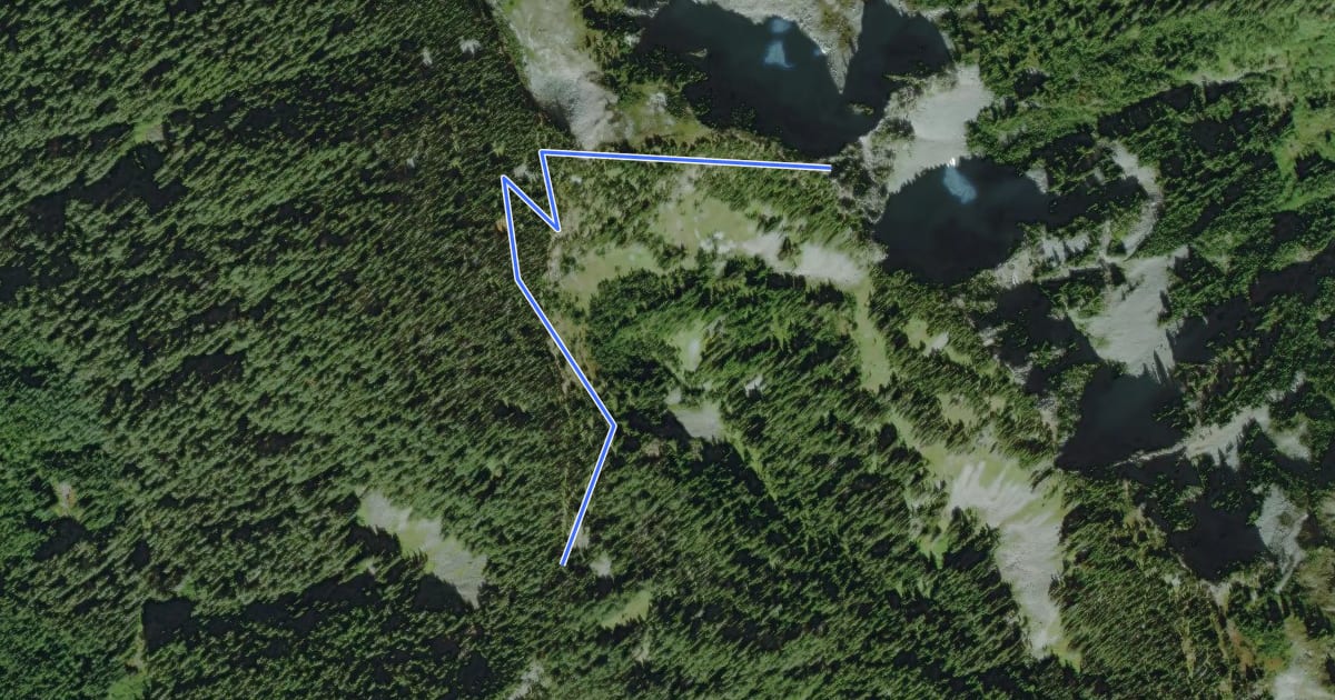 Маршрут Bearhead Trail на спутниковом снимке