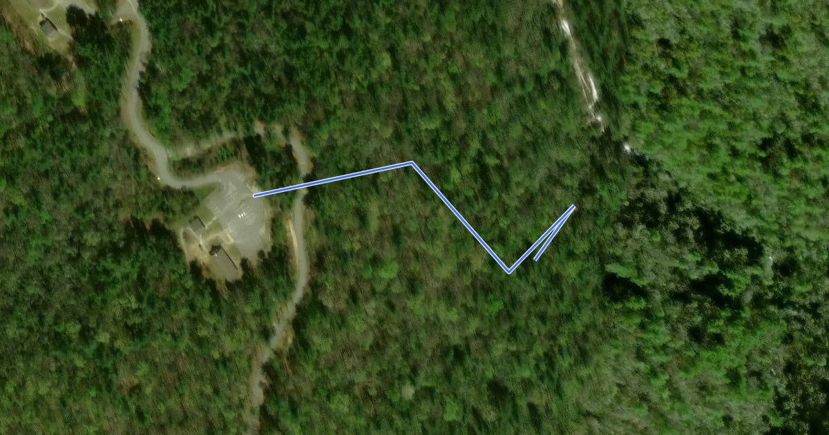 Маршрут Bearwallow Falls Trail на спутниковом снимке