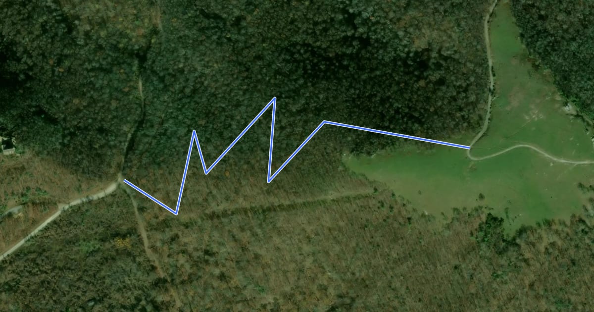 Маршрут Bearwallow Mountain Trail на спутниковом снимке