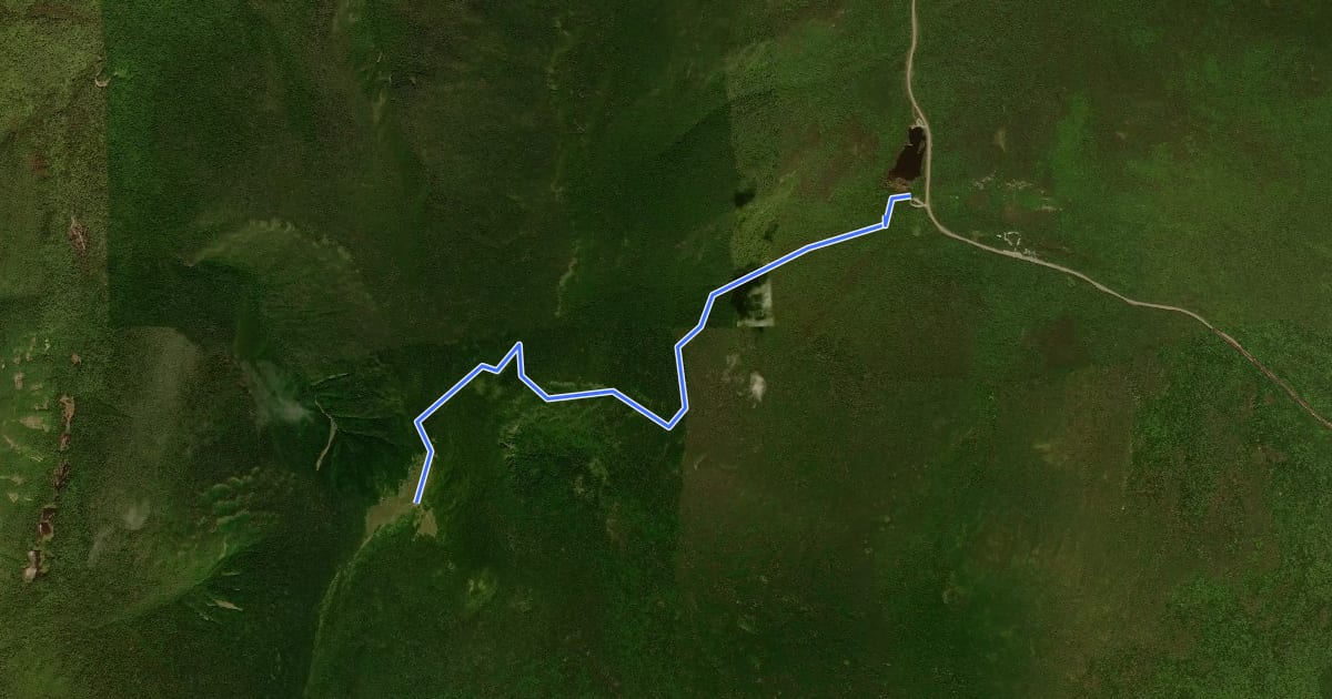 Маршрут Beaver Brook Trail на спутниковом снимке