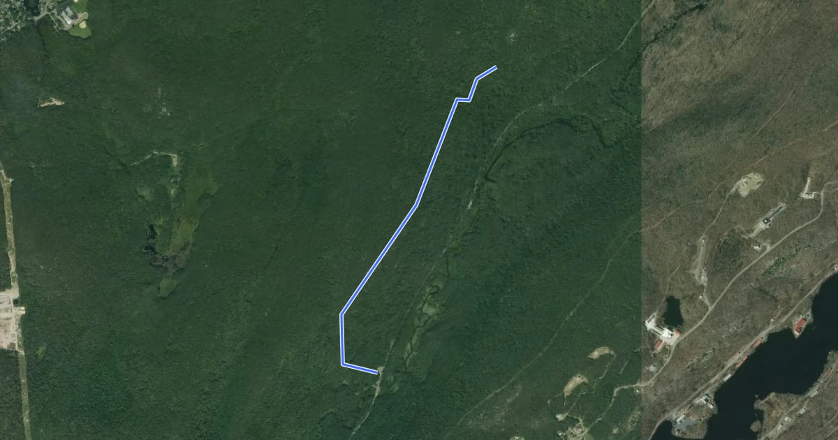 Маршрут Beaver Brook Trail на спутниковом снимке