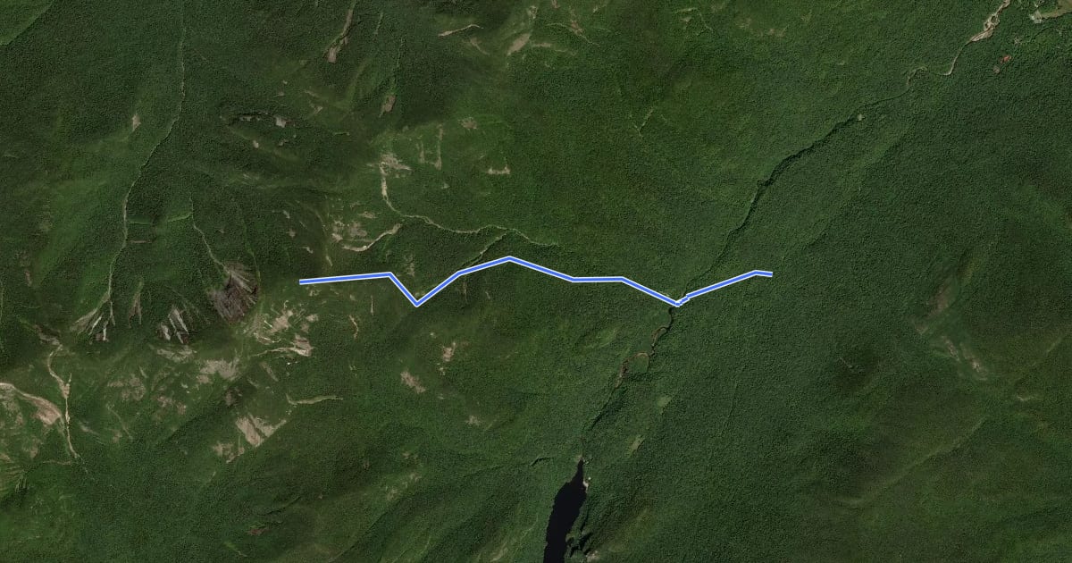 Маршрут Beaver Meadow Trail на спутниковом снимке