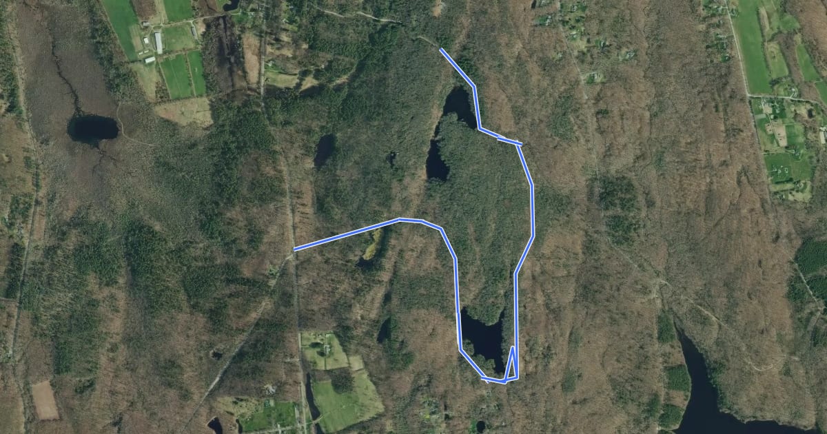 Маршрут Beaver Pond на спутниковом снимке