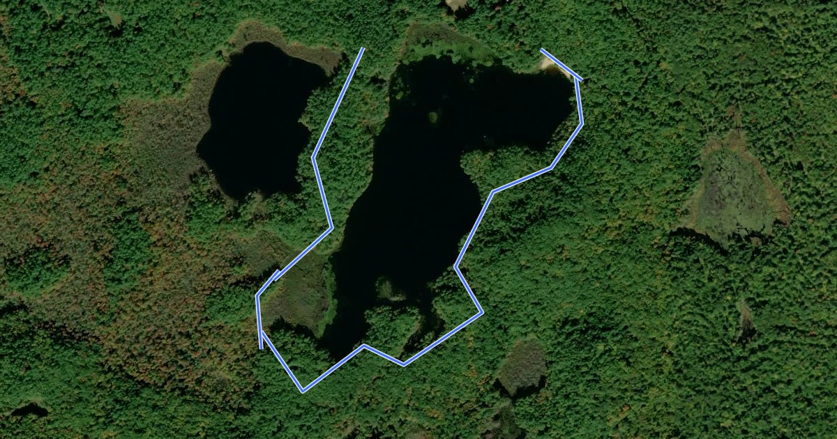 Маршрут Beaver Pond Trail на спутниковом снимке