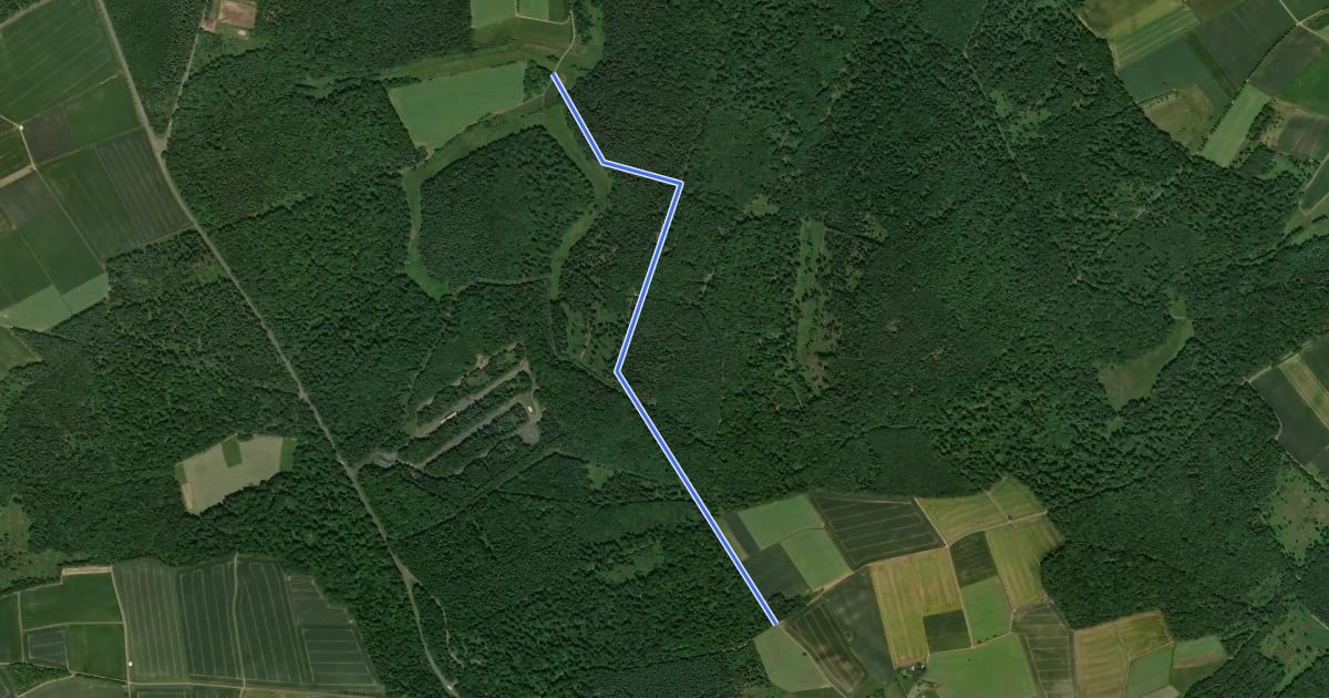 Маршрут Bechtheim - Wallbach на спутниковом снимке