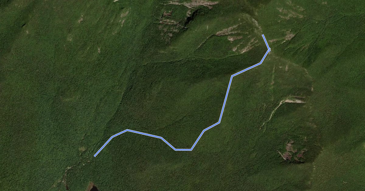 Маршрут Beckhorn Trail на спутниковом снимке