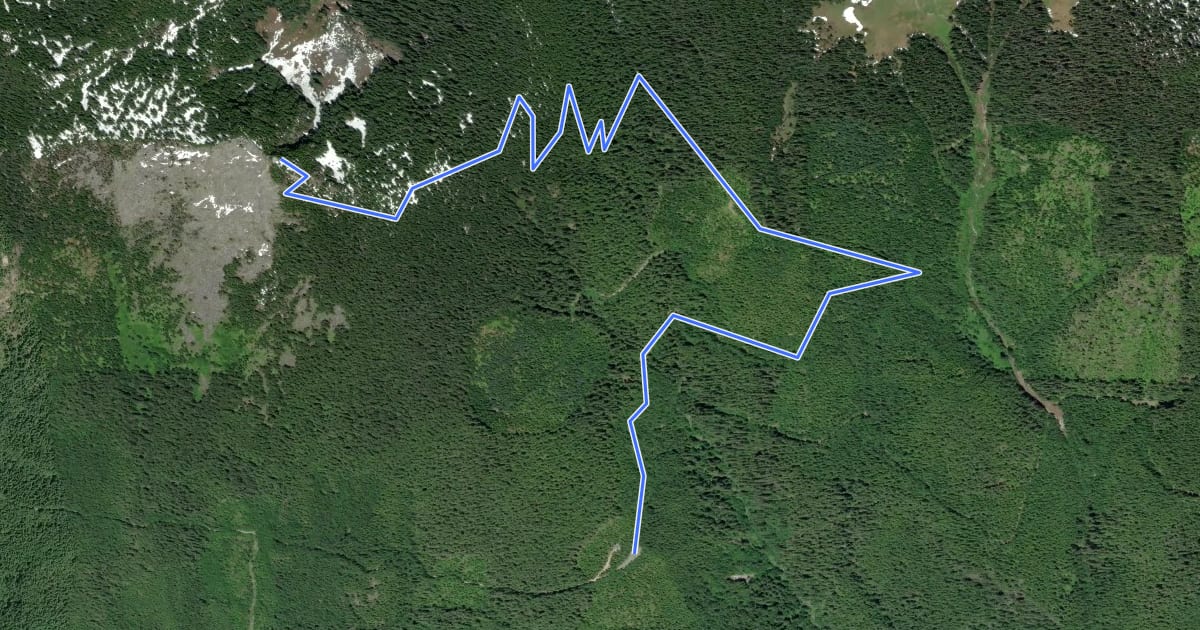 Маршрут Beckler Peak Trail на спутниковом снимке