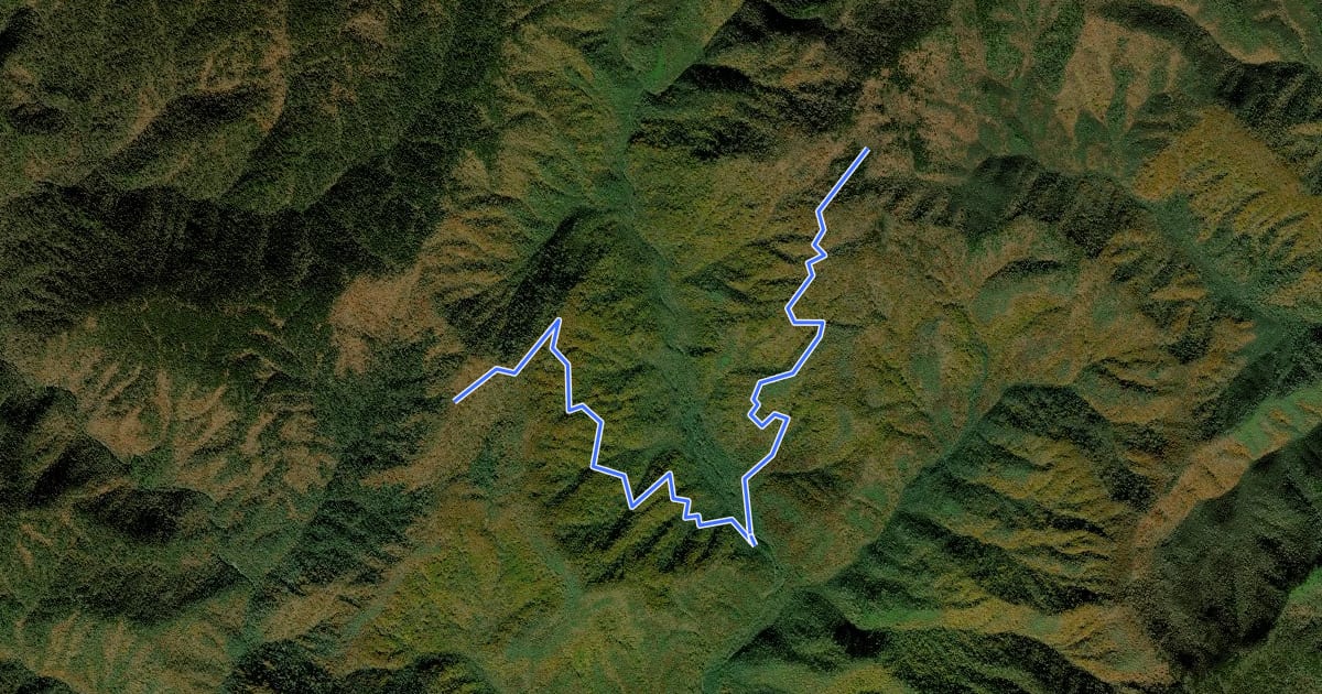 Маршрут Beech Gap Trail на спутниковом снимке
