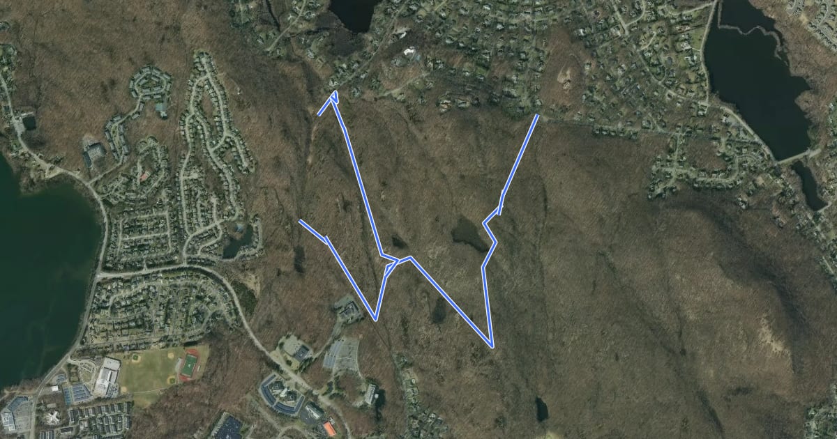 Маршрут Beech Mountain-Clove Trail на спутниковом снимке