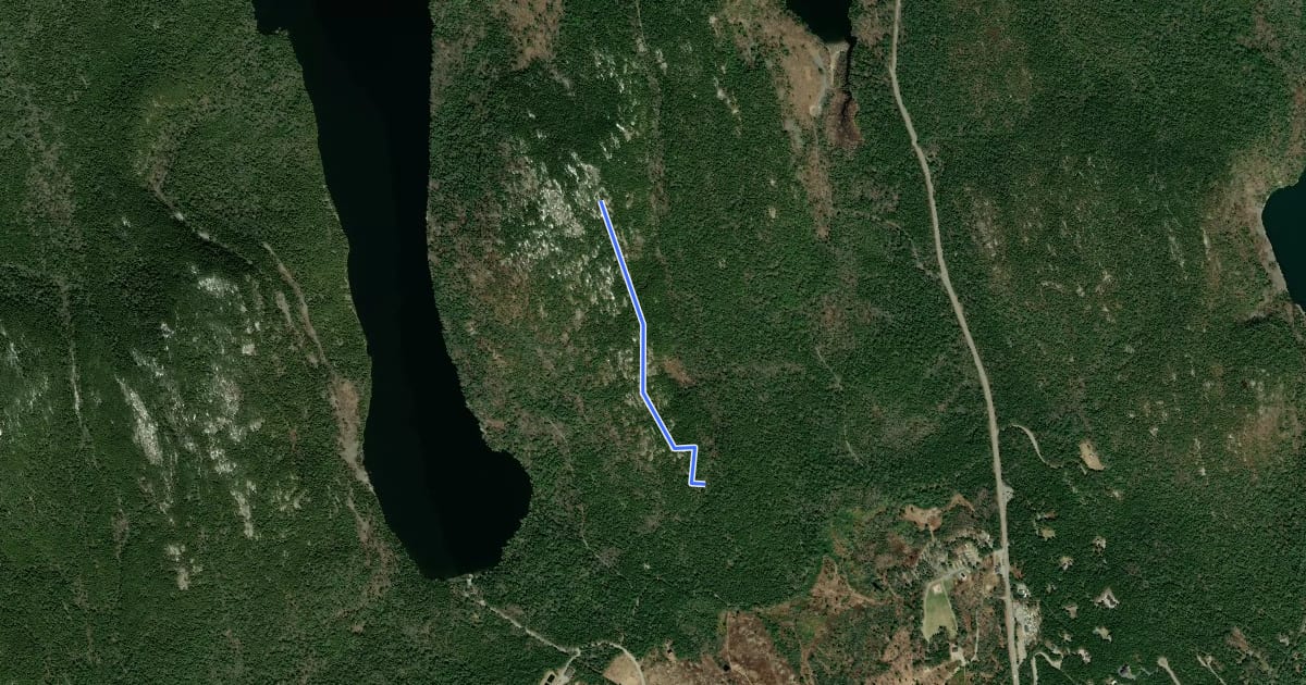 Маршрут Beech Mountain South Trail на спутниковом снимке