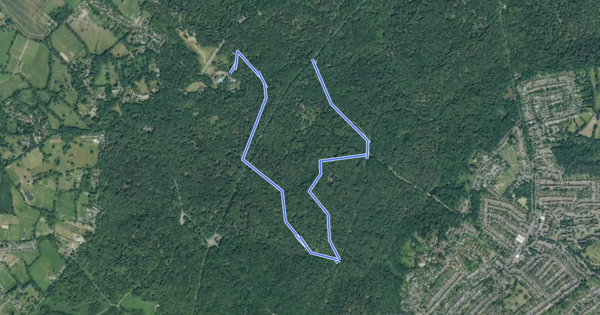 Маршрут Beech Trail на спутниковом снимке