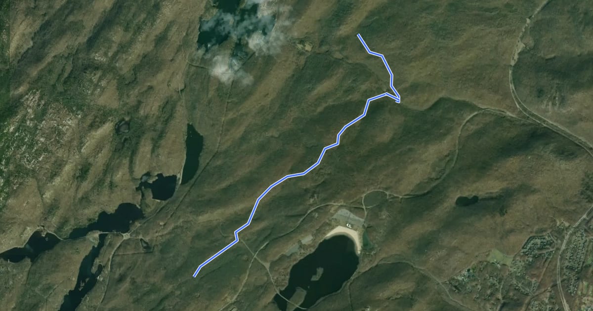 Маршрут Beech Trail на спутниковом снимке