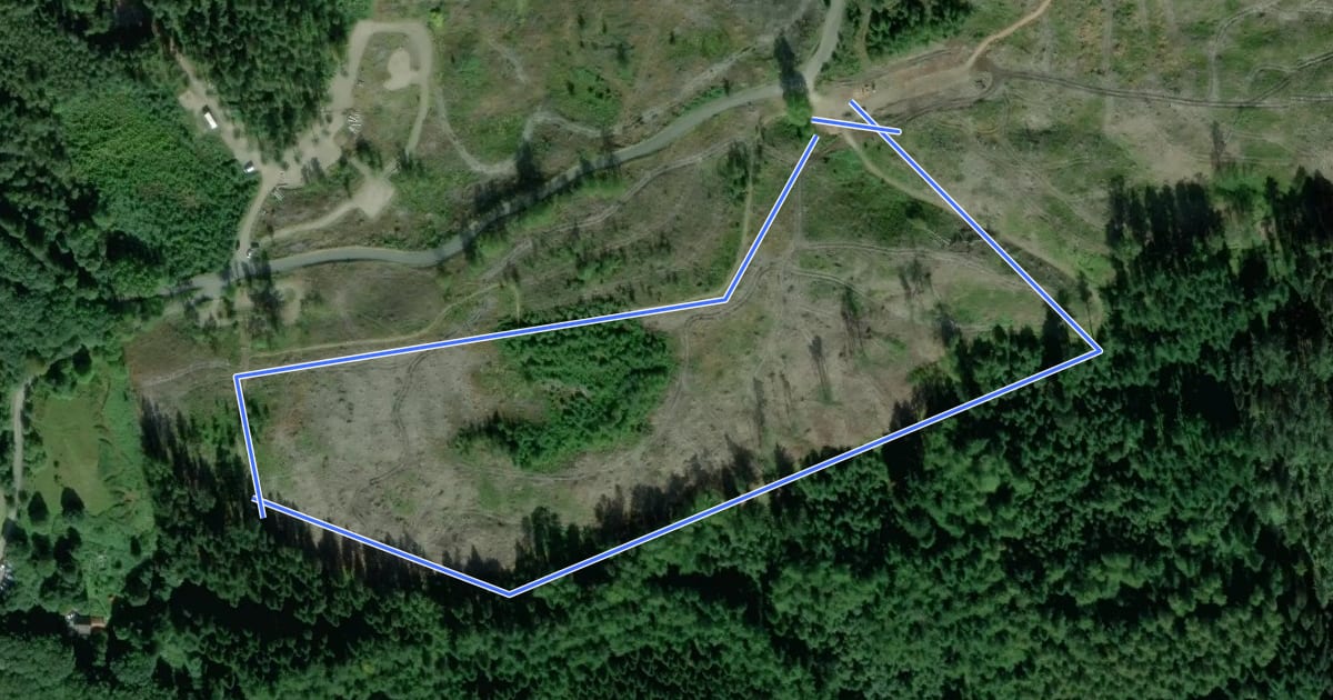 Маршрут Beech Tree Trail на спутниковом снимке