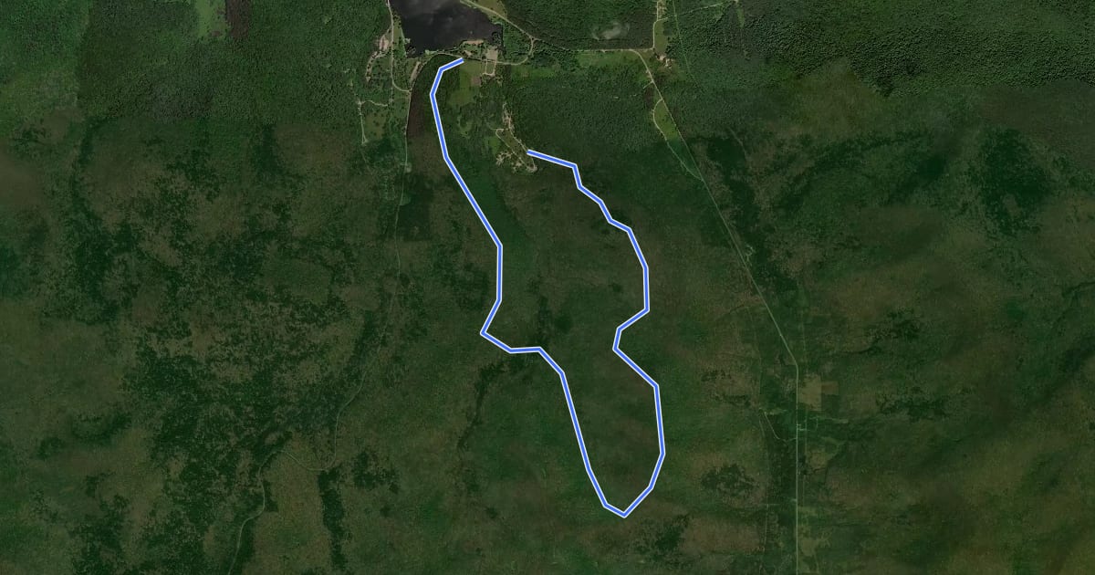 Маршрут Beehunter Trail на спутниковом снимке