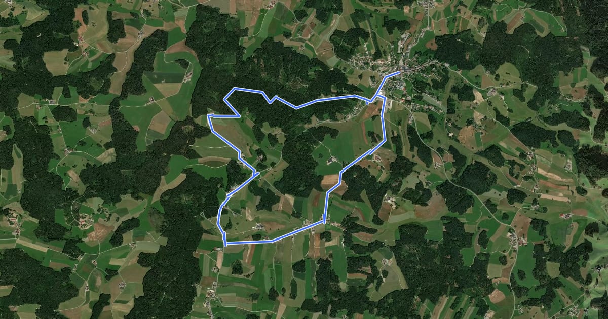 Маршрут Beeren/Bärenweg 81 на спутниковом снимке