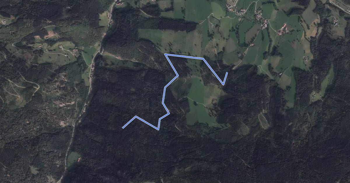Маршрут Beginn Felsenweg - Brendenwaldweg на спутниковом снимке