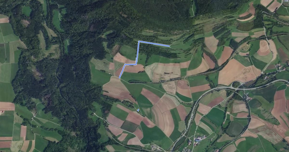 Маршрут Bei der Bielwasenhütte - Am Buchberg на спутниковом снимке