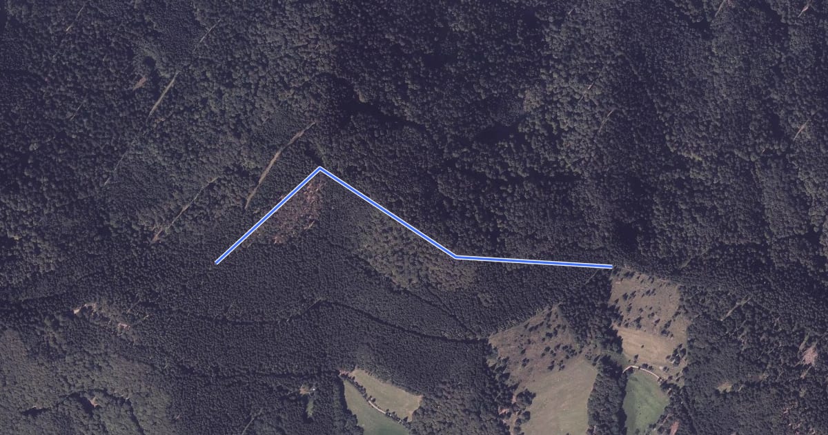 Маршрут Bei der Dorerbühl-Hütte - Breitbühl на спутниковом снимке