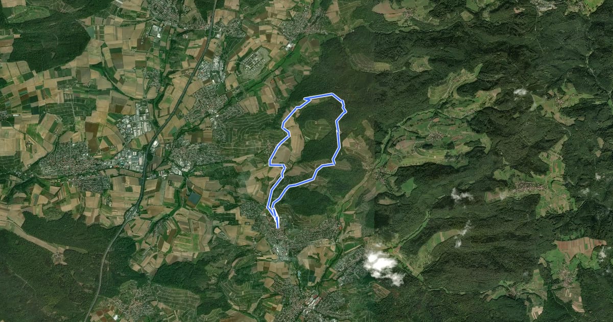 Маршрут Beilstein - Rundweg 2 на спутниковом снимке