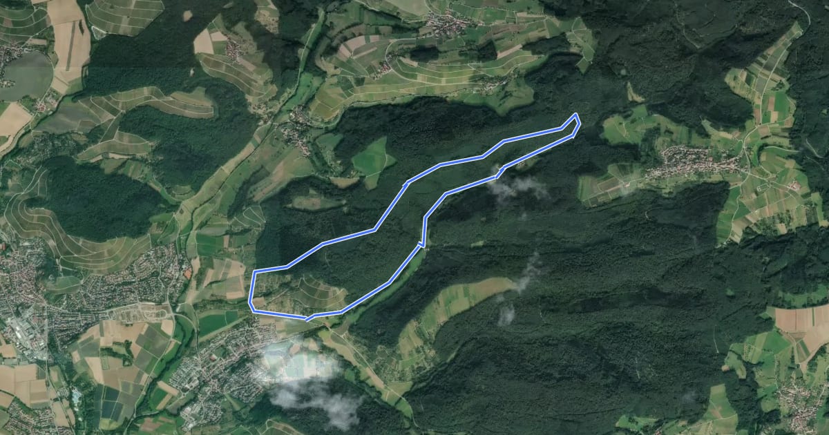 Маршрут Beilstein - Rundweg 4 на спутниковом снимке