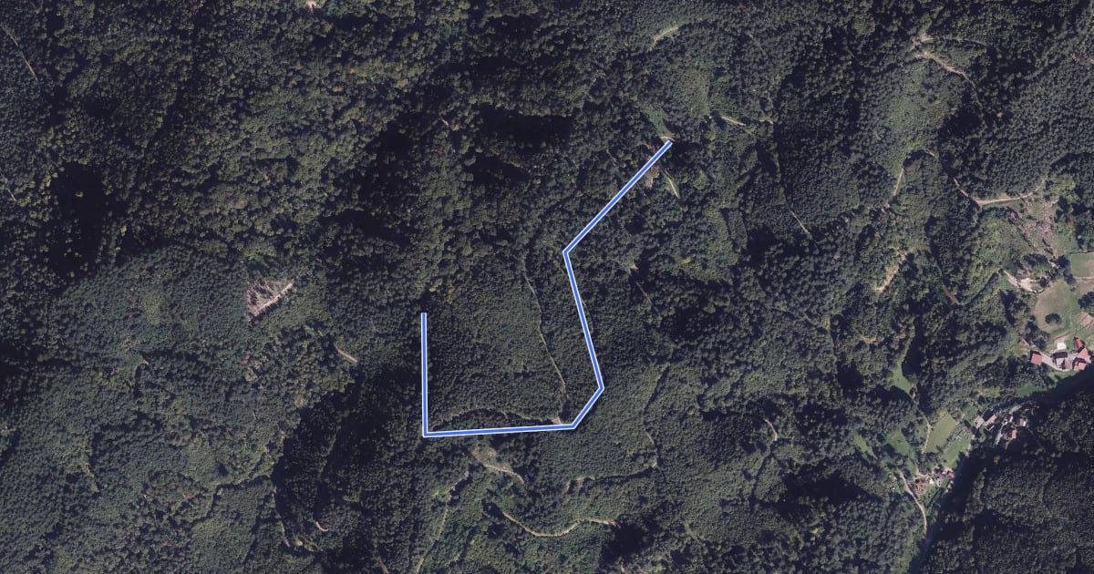 Маршрут Beim Adlerstein - Wusslerwald на спутниковом снимке