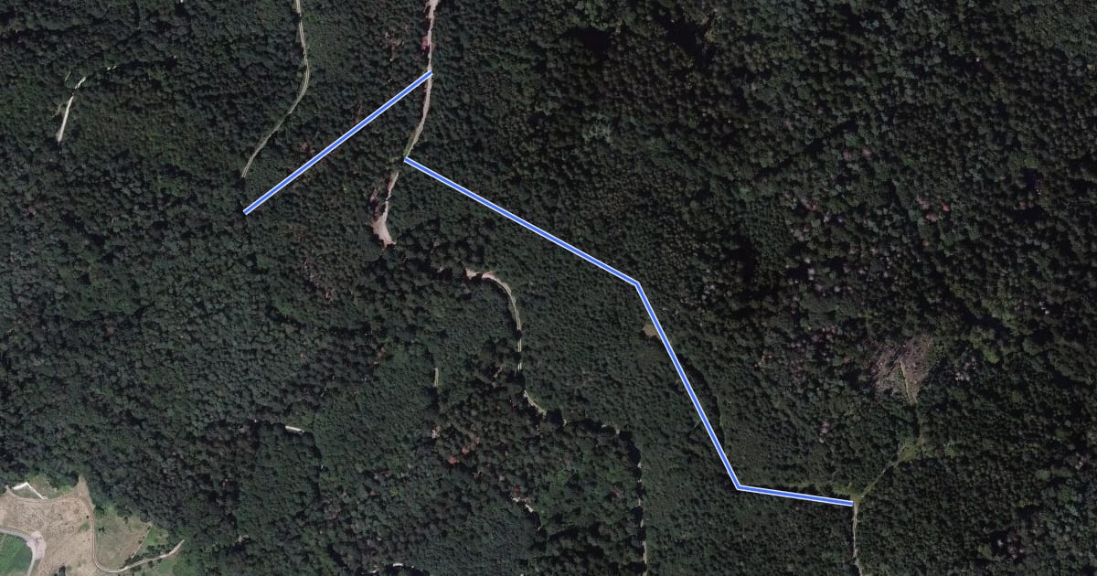 Маршрут Beim Bühler Stein - Mittlerer Jägerweg на спутниковом снимке