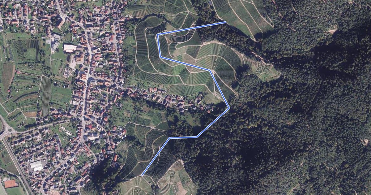 Маршрут Beim Pipelisstein - Weingut Schloss Ortenberg на спутниковом снимке