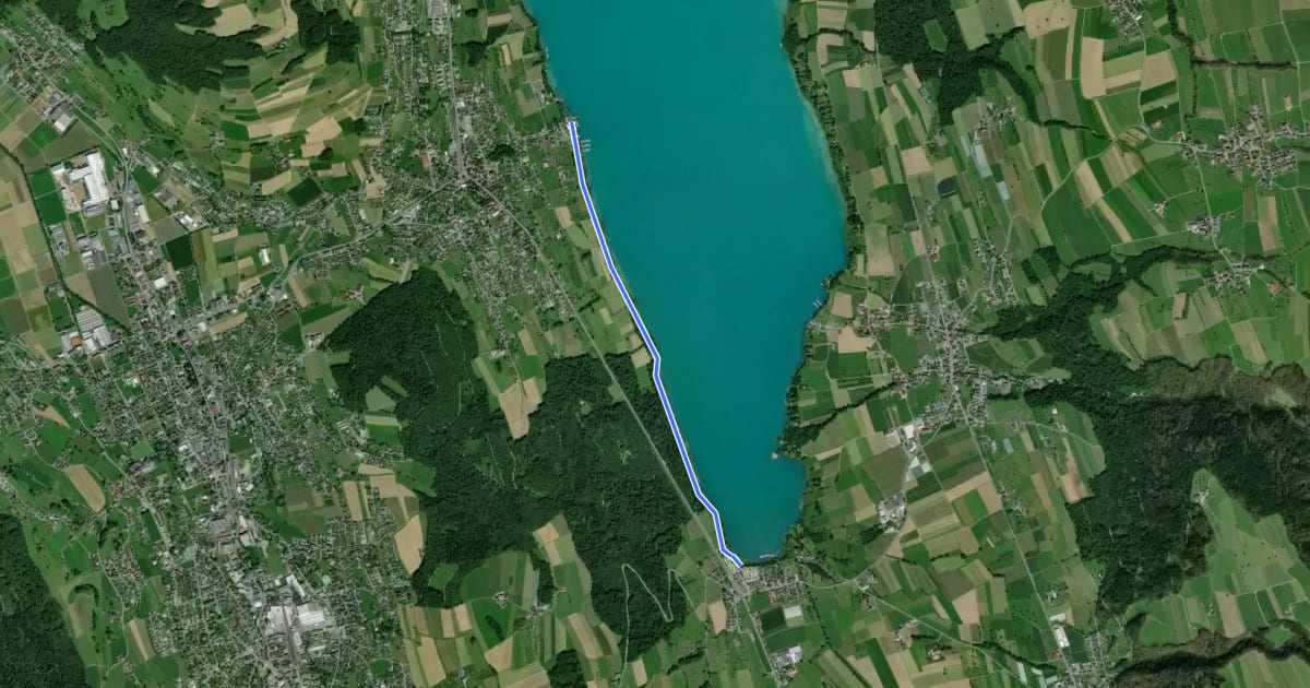Маршрут Beinwil am See - Mosen на спутниковом снимке