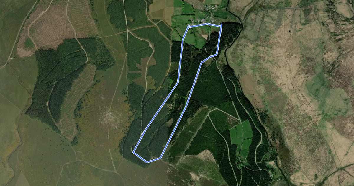 Маршрут Bellever Trail на спутниковом снимке