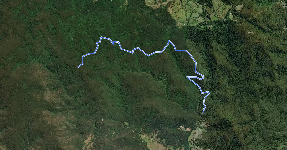 Маршрут Bellthorpe Loop на спутниковом снимке