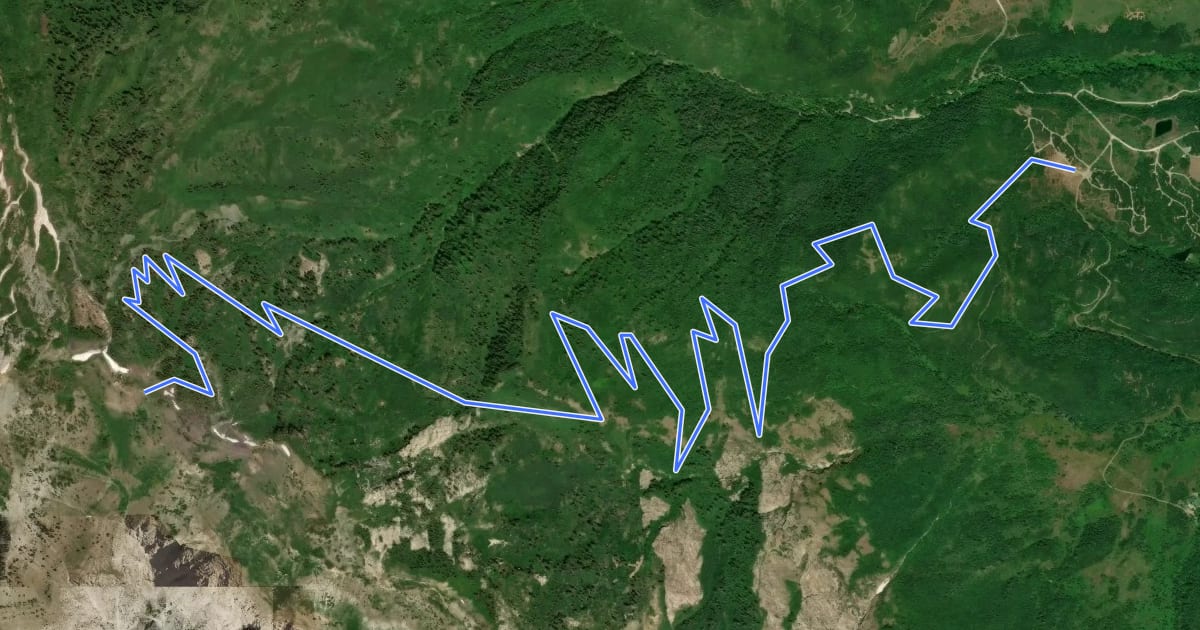 Маршрут Ben Lomond Trail на спутниковом снимке