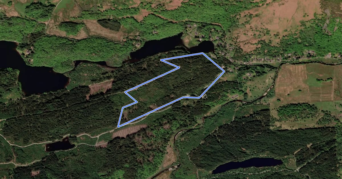 Маршрут Ben Lomond Viewpoint на спутниковом снимке