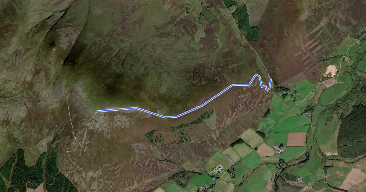 Маршрут Ben Rinnes Trail на спутниковом снимке