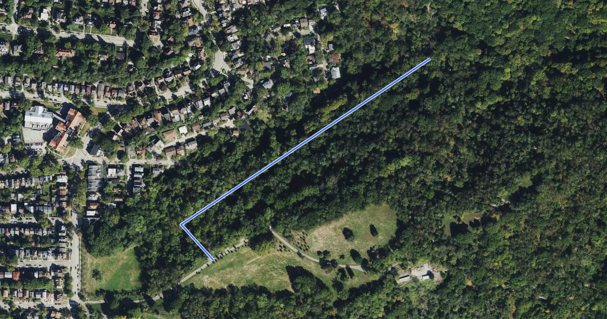 Маршрут Bench Trail на спутниковом снимке
