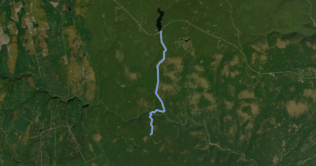Маршрут Bennett Brook Trail на спутниковом снимке