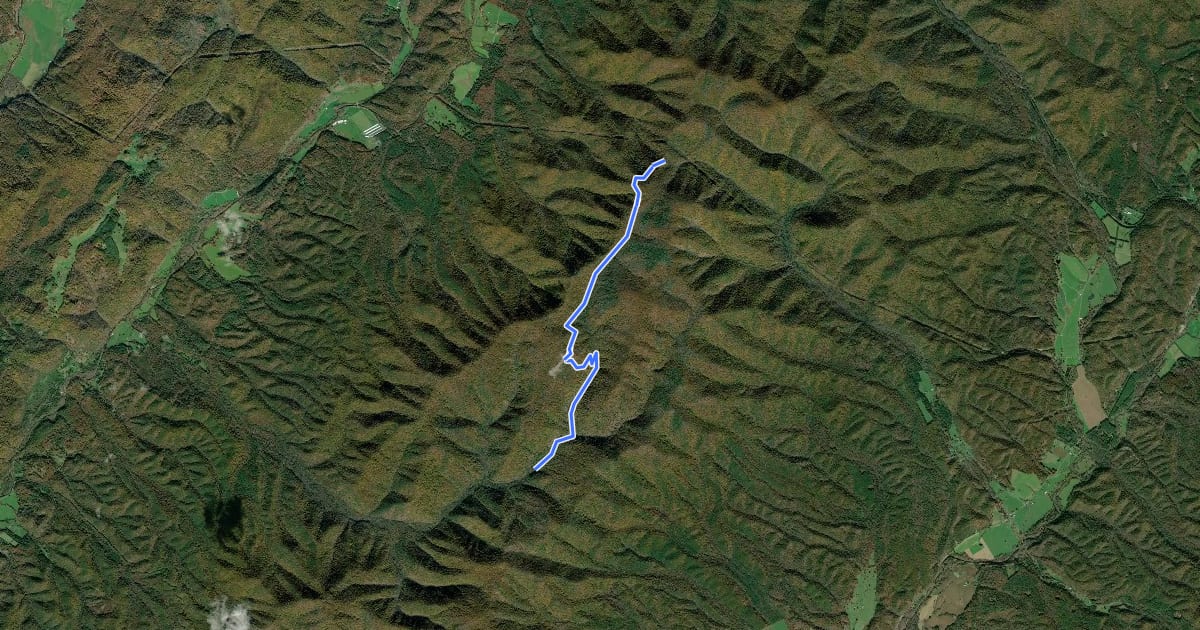 Маршрут Benson Run Trail на спутниковом снимке