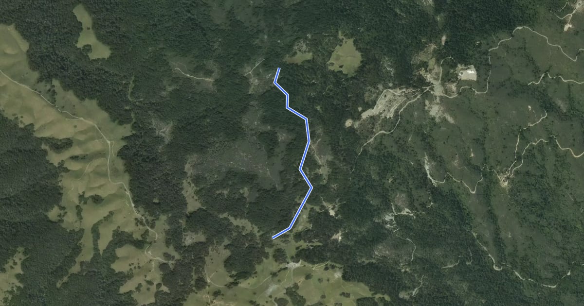 Маршрут Benstein Trail на спутниковом снимке