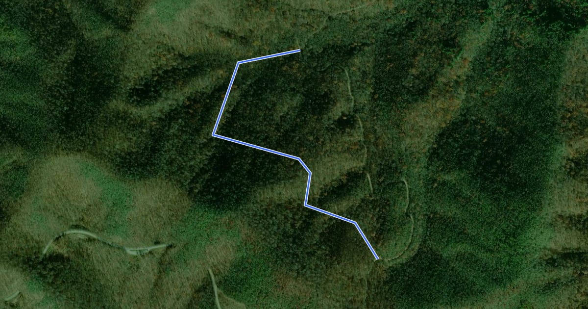 Маршрут Bent Creek Trail на спутниковом снимке