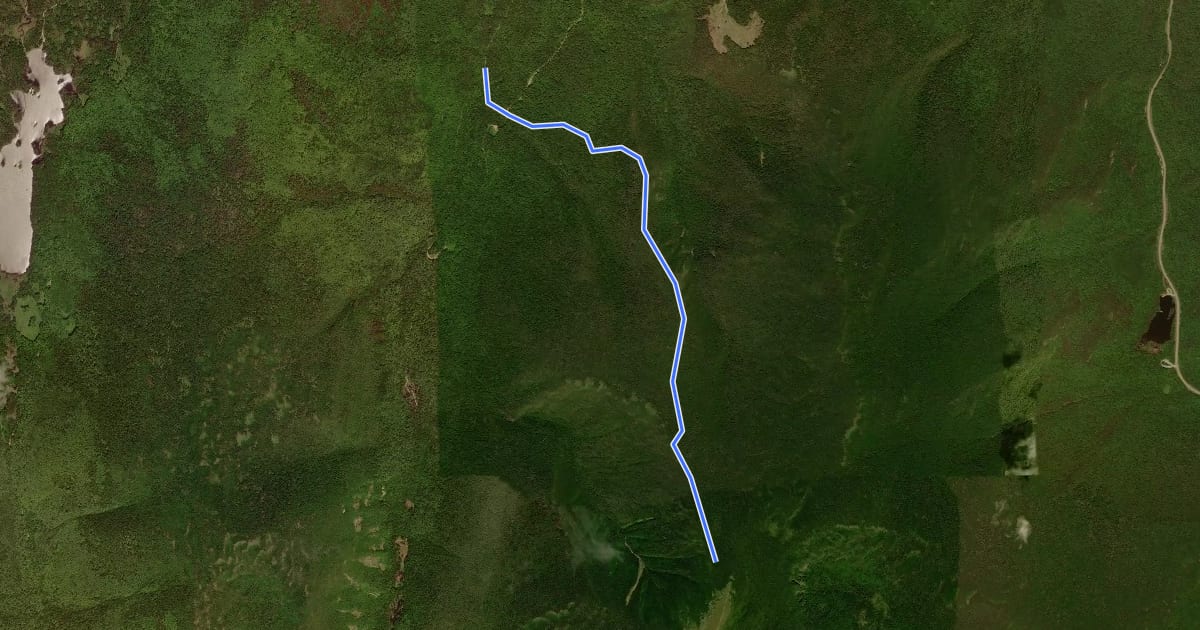 Маршрут Benton Trail на спутниковом снимке