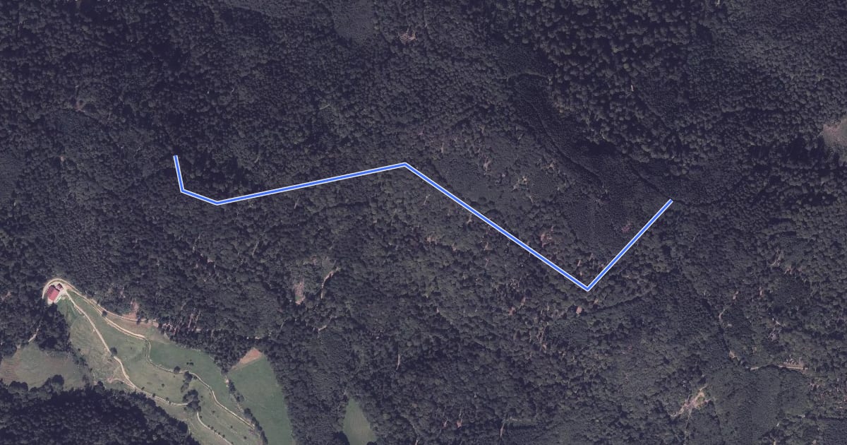 Маршрут Über dem Heuweg - Am Kranzkopf на спутниковом снимке