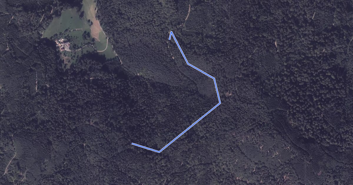 Маршрут Über dem Heuweg - Bei der Schwarzenberghütte на спутниковом снимке