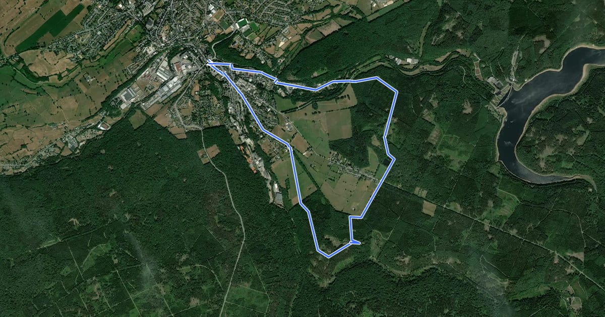 Маршрут Über Langesthaler Mühle und Clouseweiher zur Kanzelkrone на спутниковом снимке