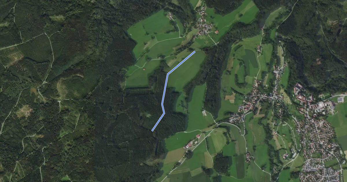 Маршрут Berg - Altdorfer Wald на спутниковом снимке