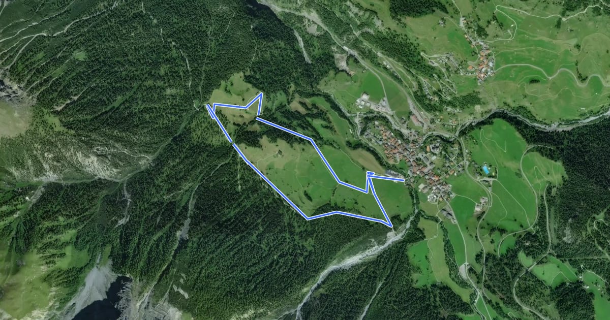 Маршрут Bergüner Holzweg на спутниковом снимке