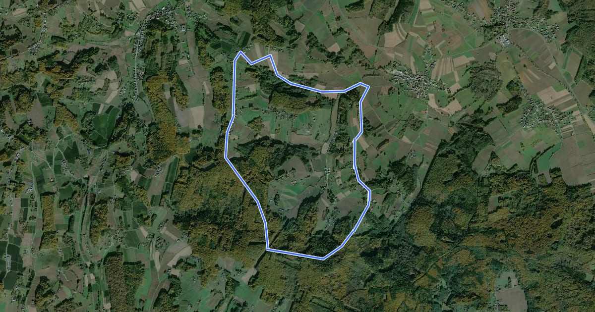 Маршрут Berg- & Waldweg на спутниковом снимке