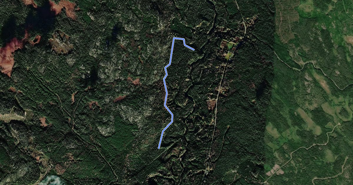 Маршрут Bergfotsstigen на спутниковом снимке