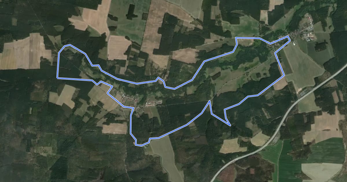 Маршрут Bergmolchwanderweg на спутниковом снимке