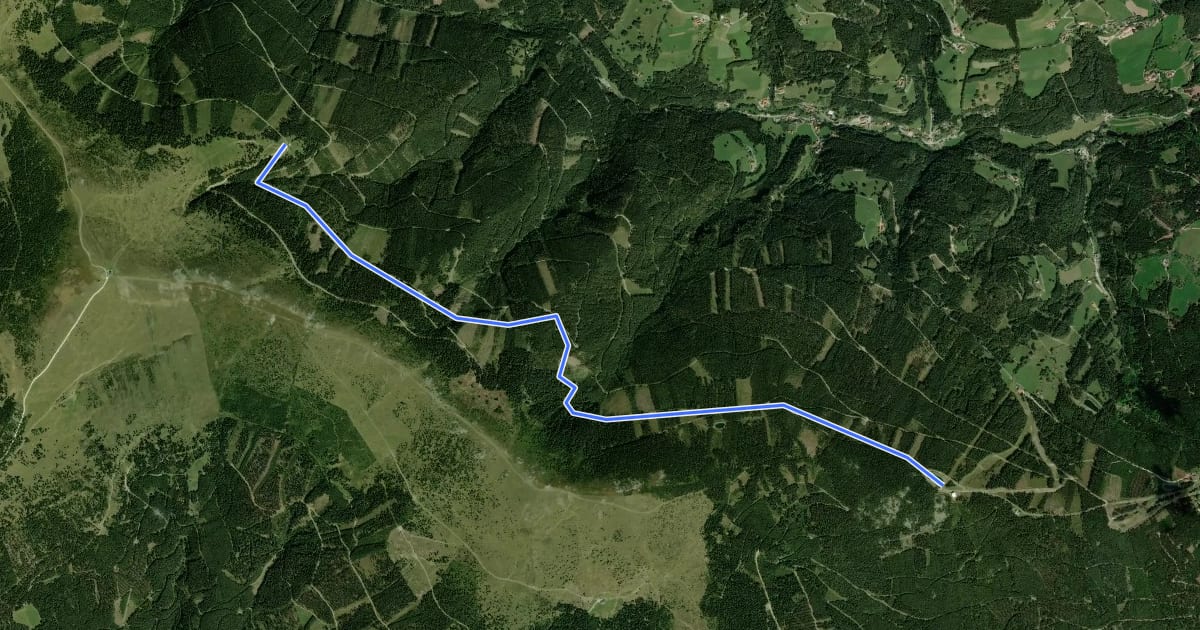 Маршрут Bergstation Mariensee - Marienseer Schwaig на спутниковом снимке